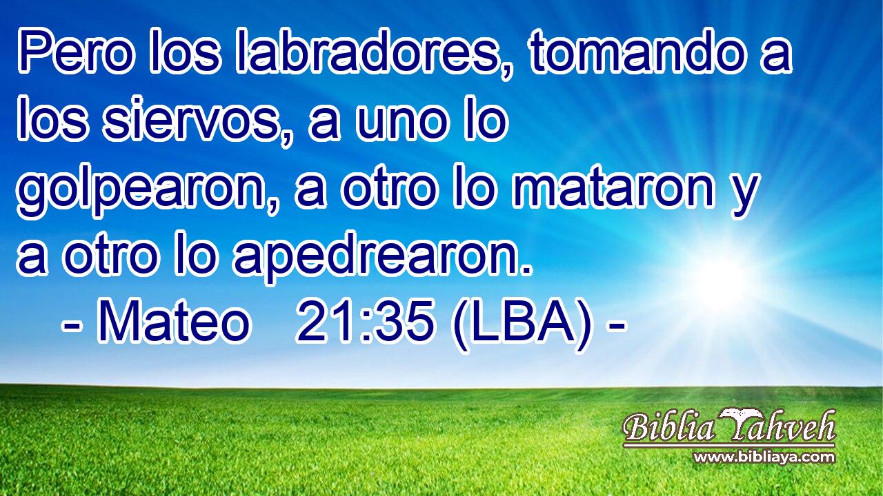 Pero los labradores, tomando a los siervos, a uno lo golpearon, a otro lo mataron y a otro lo apedrearon.
