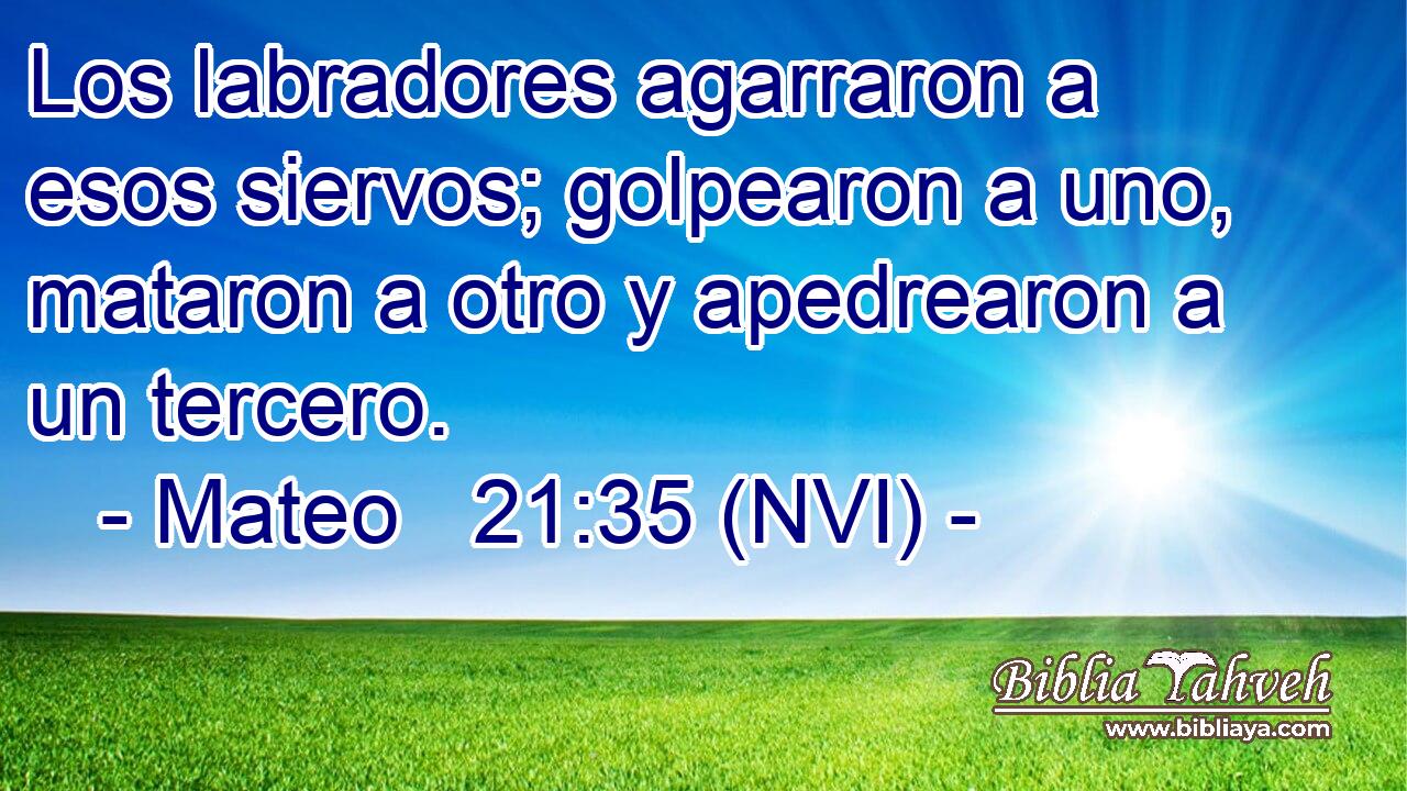  Los labradores agarraron a esos siervos; golpearon a uno, mataron a otro y apedrearon a un tercero. 