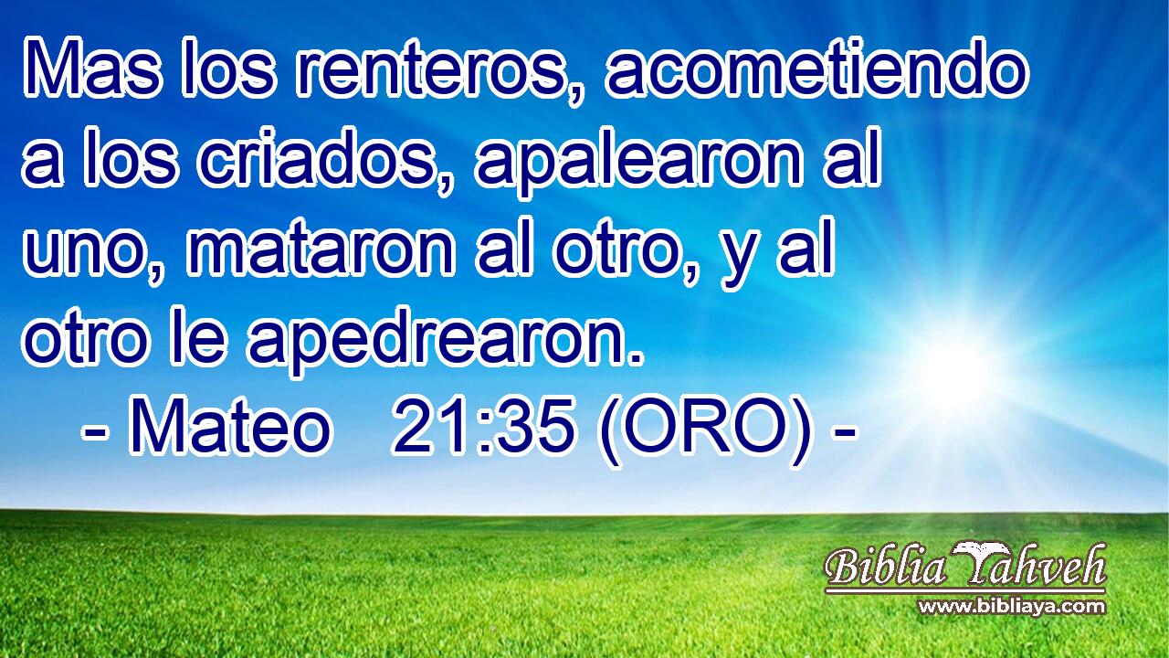  Mas los renteros, acometiendo a los criados, apalearon al uno, mataron al otro, y al otro le apedrearon. 