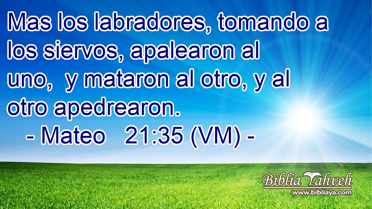  Mas los labradores, tomando a los siervos, apalearon al uno,  y mataron al otro, y al otro apedrearon. 