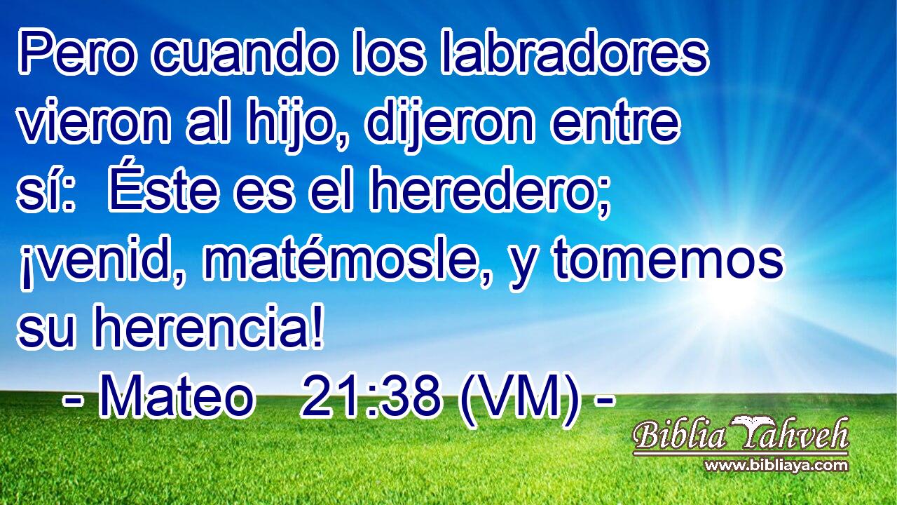  Pero cuando los labradores vieron al hijo, dijeron entre sí:  Éste es el heredero; ¡venid, matémosle, y tomemos su herencia! 