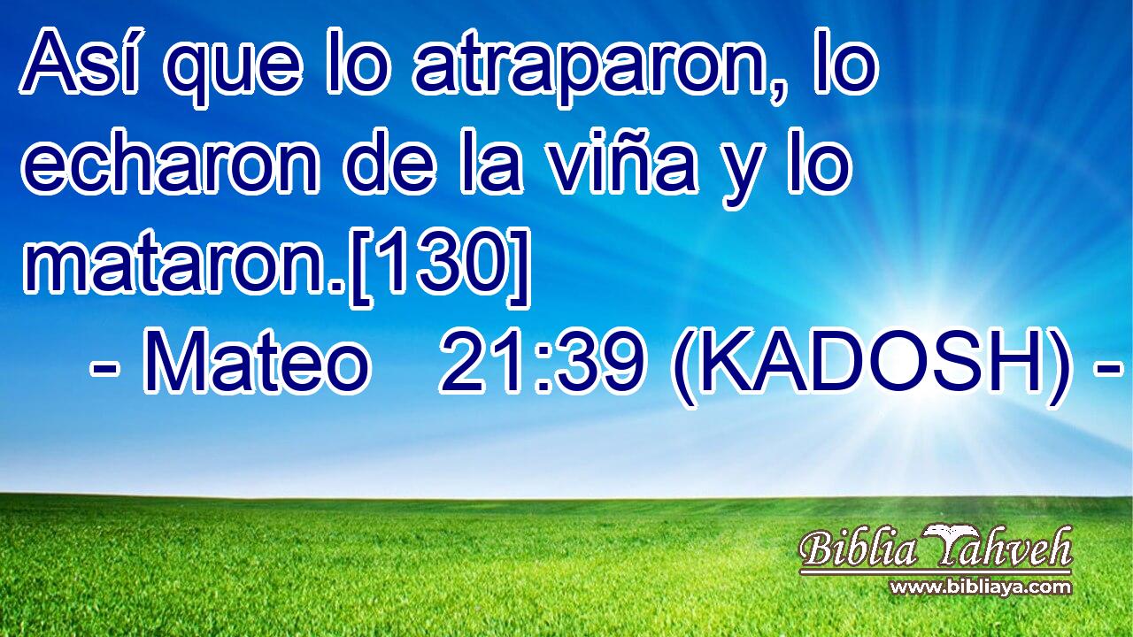  Así que lo atraparon, lo echaron de la viña y lo mataron.[130] 