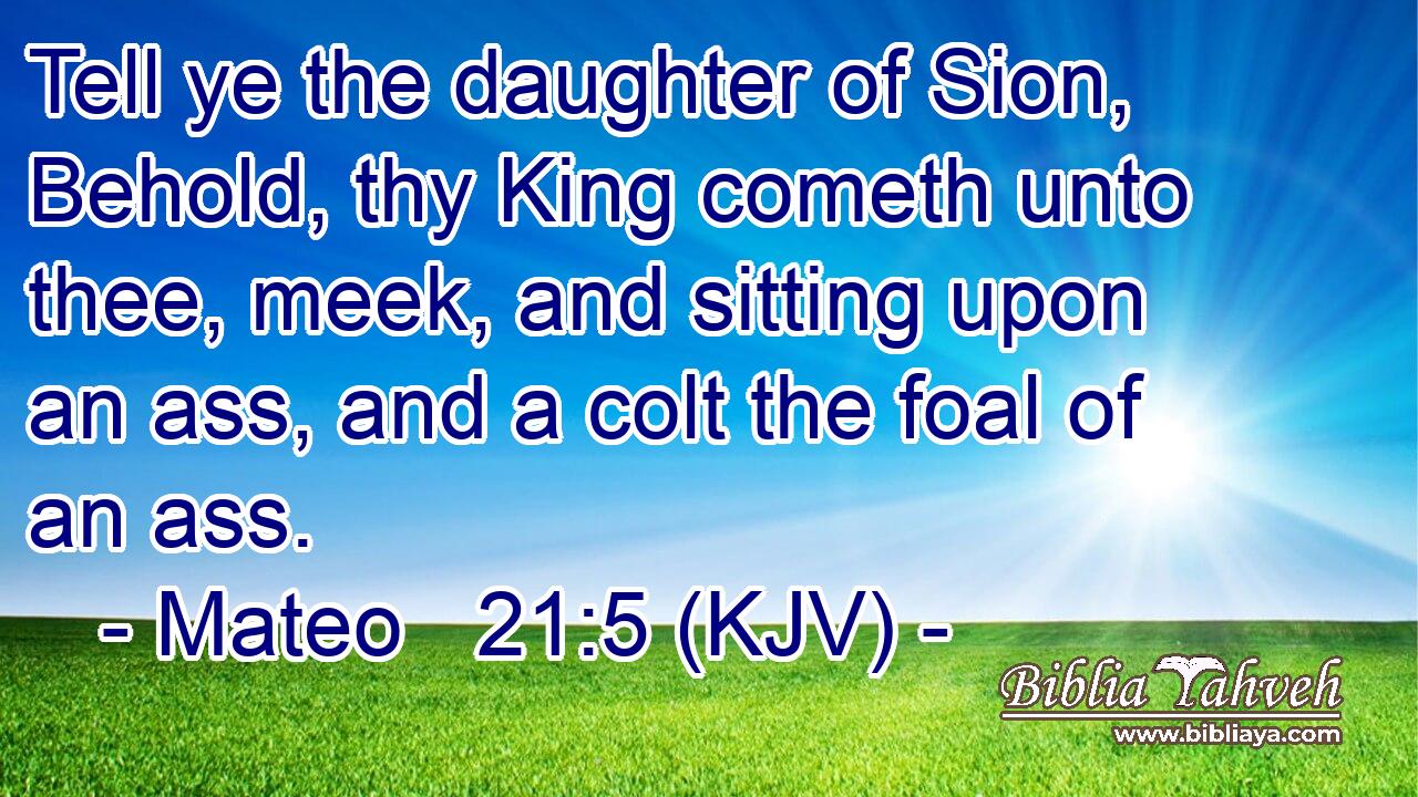 Tell ye the daughter of Sion, Behold, thy King cometh unto thee, meek, and sitting upon an ass, and a colt the foal of an ass.