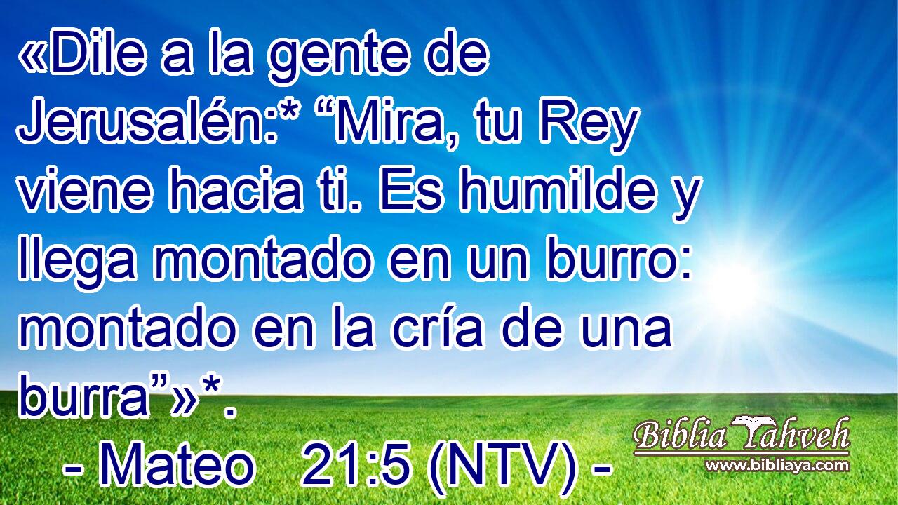 «Dile a la gente de Jerusalén:* “Mira, tu Rey viene hacia ti. Es humilde y llega montado en un burro: montado en la cría de una burra”»*.