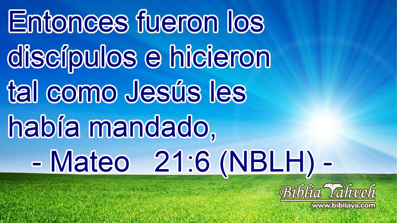  Entonces fueron los discípulos e hicieron tal como Jesús les había mandado, 