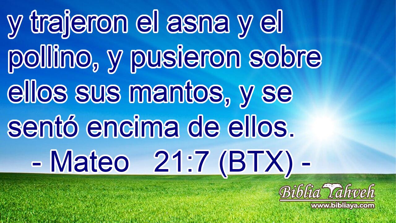 y trajeron el asna y el pollino, y pusieron sobre ellos sus mantos, y se sentó encima de ellos.