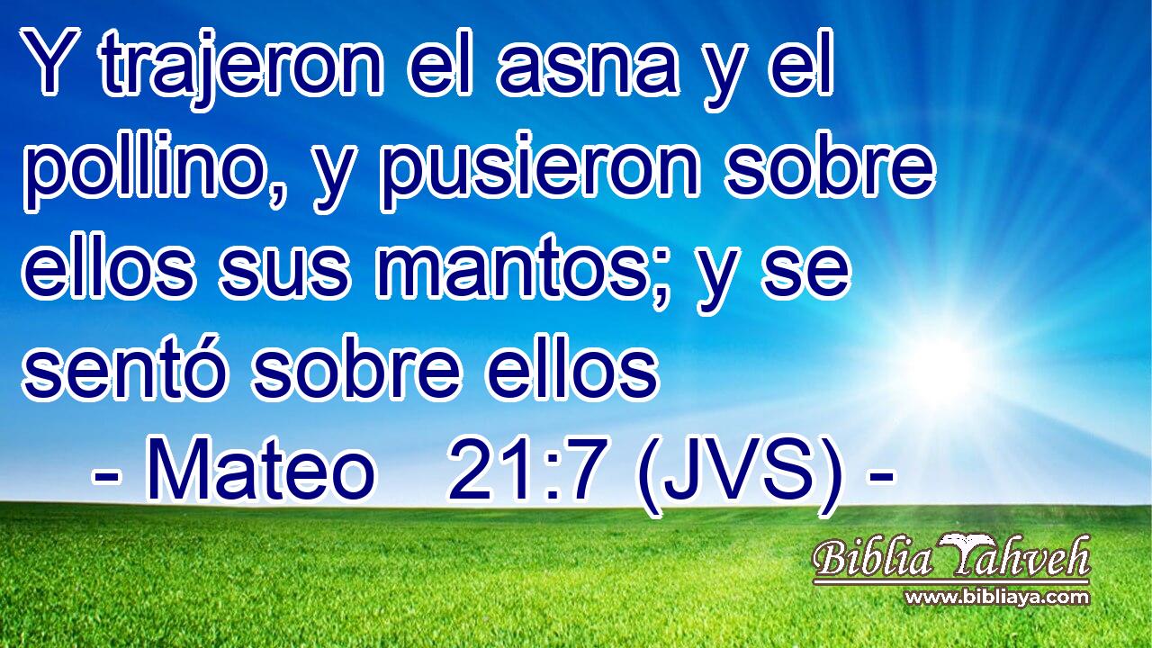 Y trajeron el asna y el pollino, y pusieron sobre ellos sus mantos; y se sentó sobre ellos