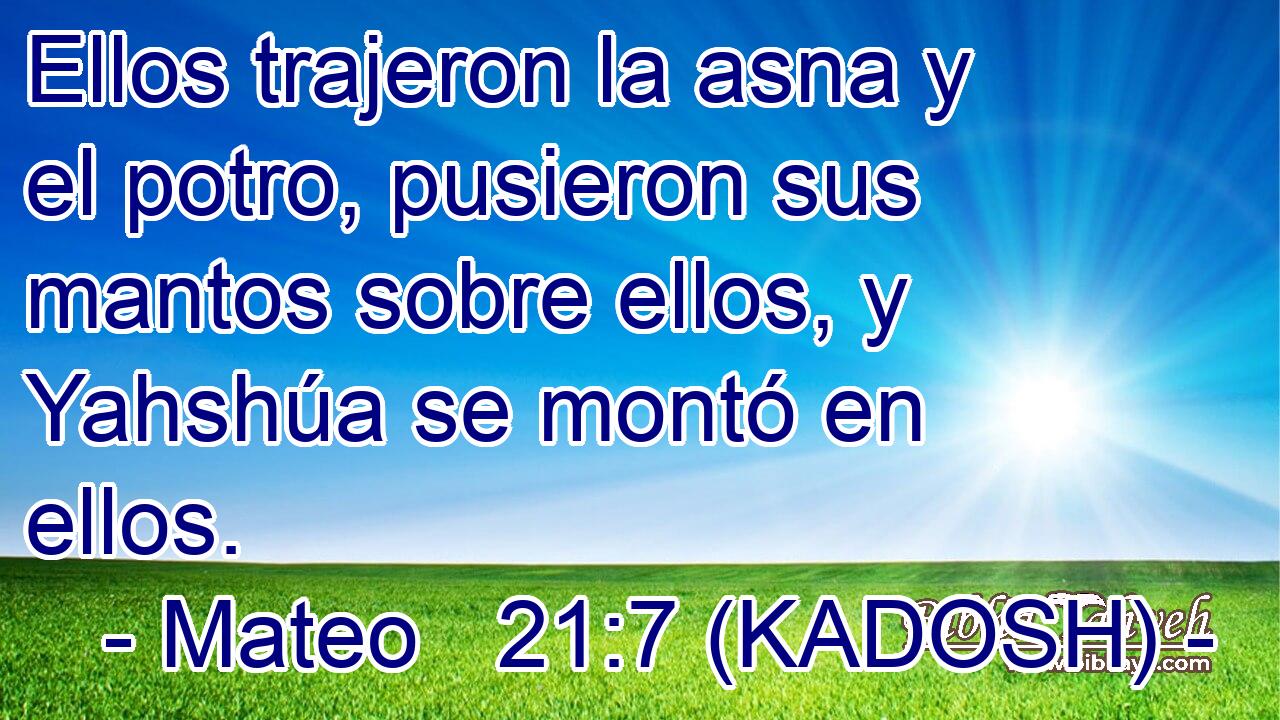  Ellos trajeron la asna y el potro, pusieron sus mantos sobre ellos, y Yahshúa se montó en ellos. 