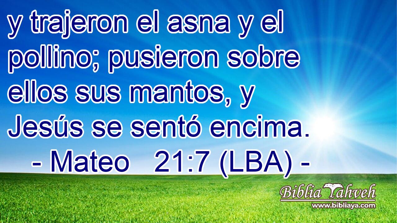y trajeron el asna y el pollino; pusieron sobre ellos sus mantos, y Jesús se sentó encima.