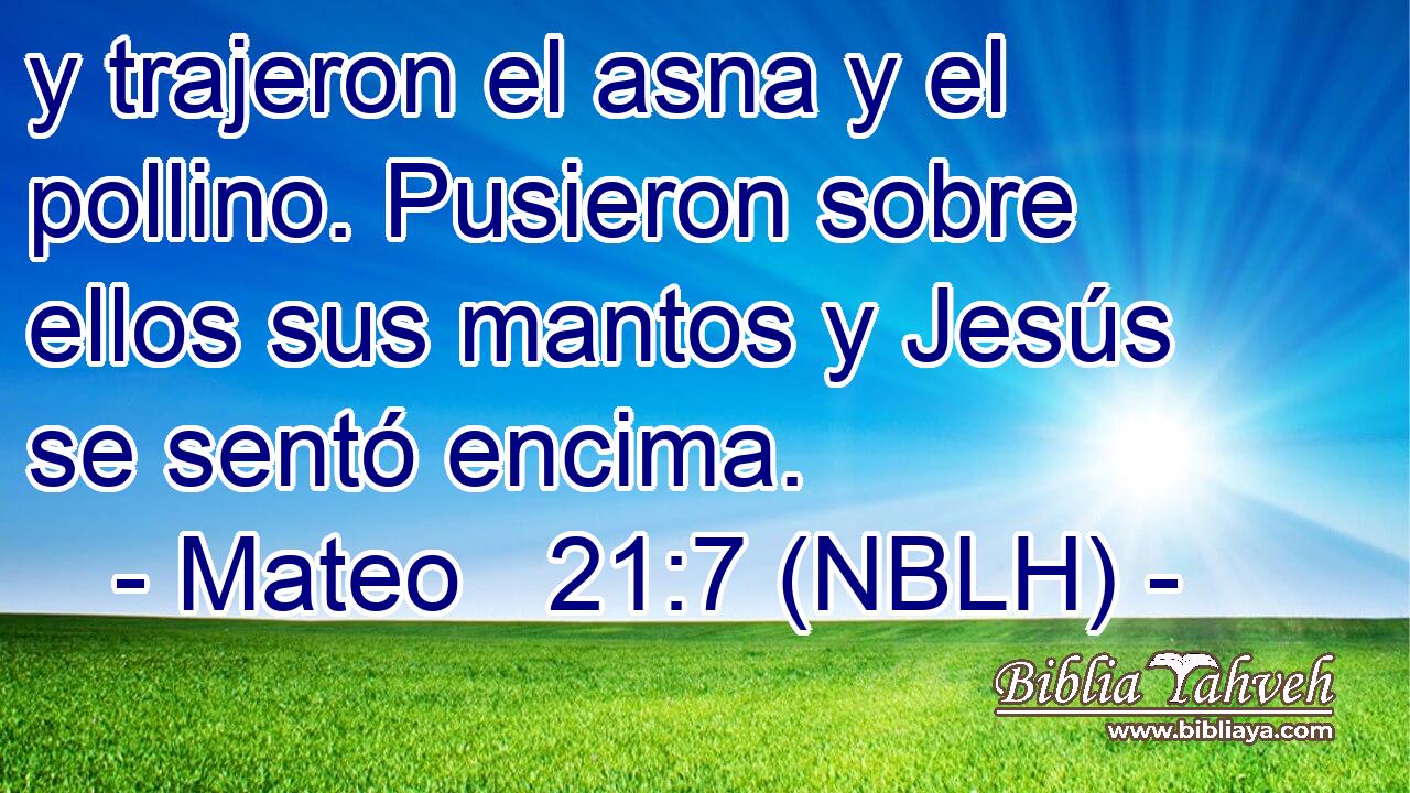  y trajeron el asna y el pollino. Pusieron sobre ellos sus mantos y Jesús se sentó encima. 