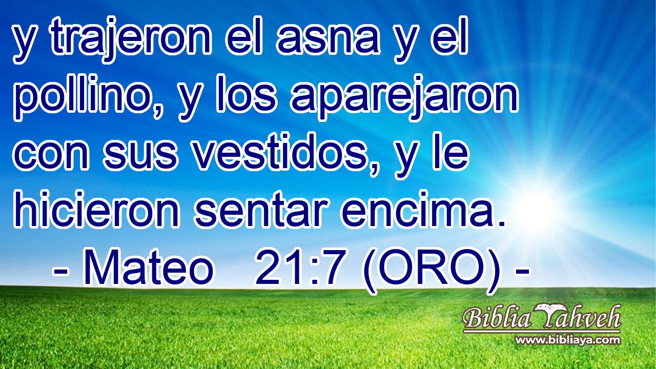  y trajeron el asna y el pollino, y los aparejaron con sus vestidos, y le hicieron sentar encima. 