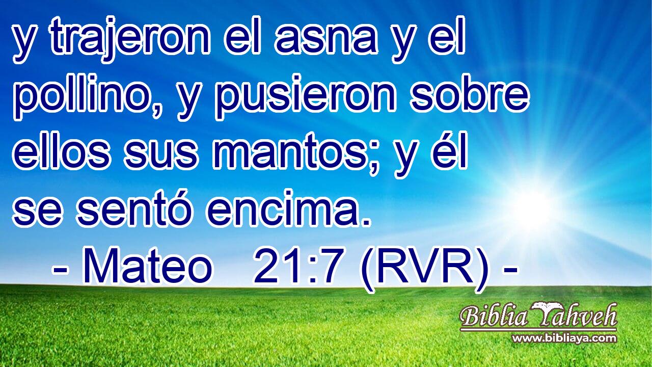 y trajeron el asna y el pollino, y pusieron sobre ellos sus mantos; y él se sentó encima.