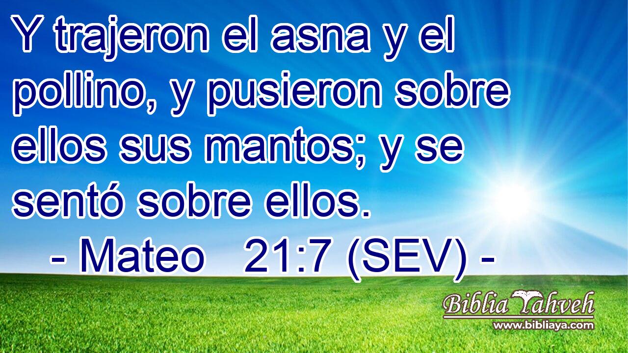Y trajeron el asna y el pollino, y pusieron sobre ellos sus mantos; y se sentó sobre ellos.