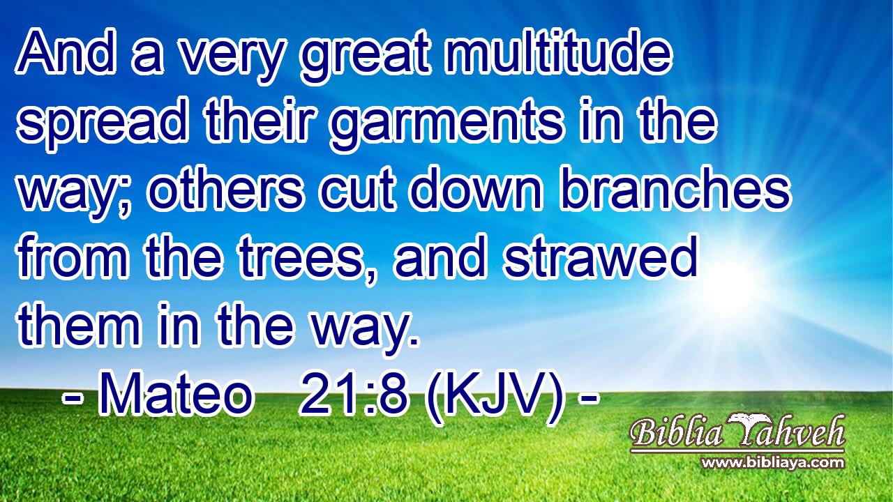 And a very great multitude spread their garments in the way; others cut down branches from the trees, and strawed them in the way.