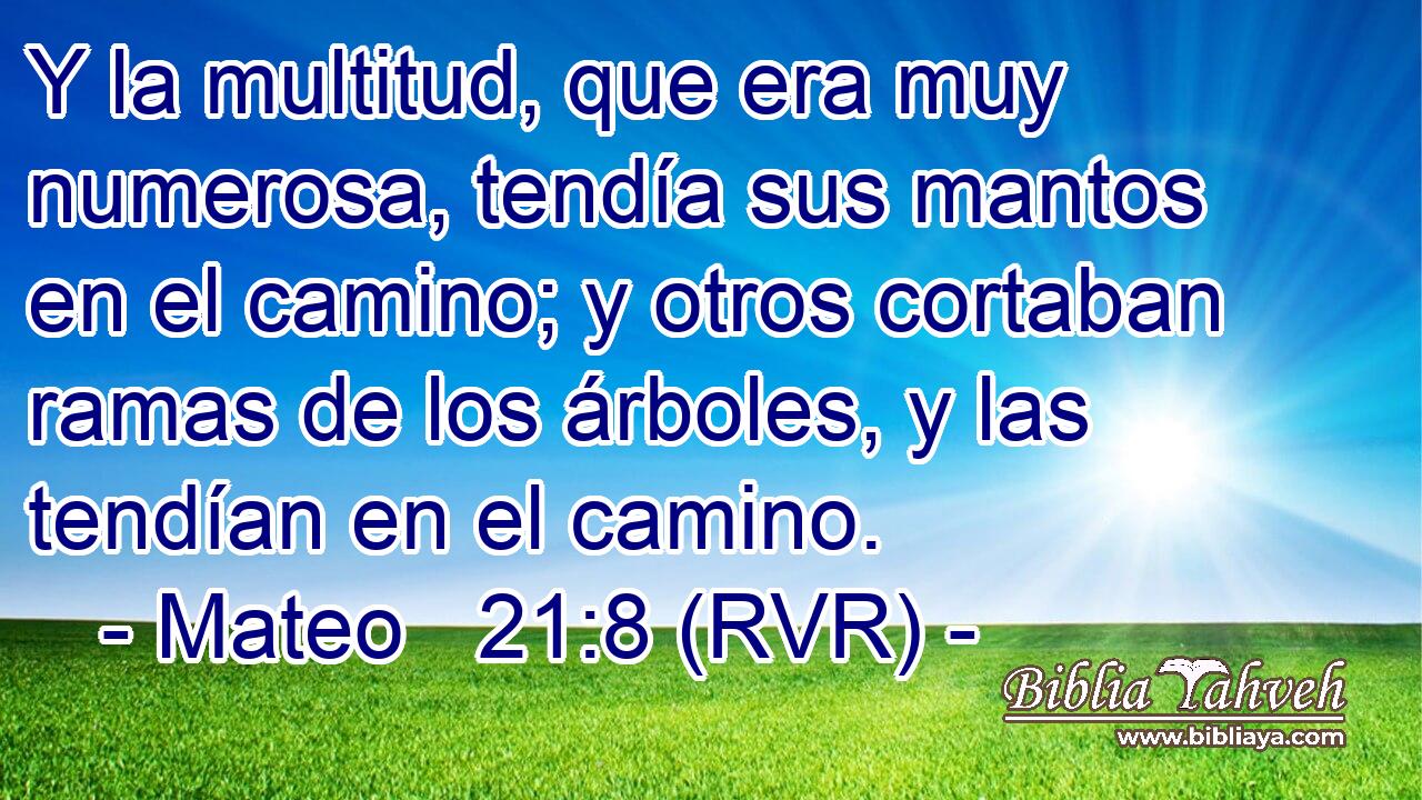 Y la multitud, que era muy numerosa, tendía sus mantos en el camino; y otros cortaban ramas de los árboles, y las tendían en el camino.