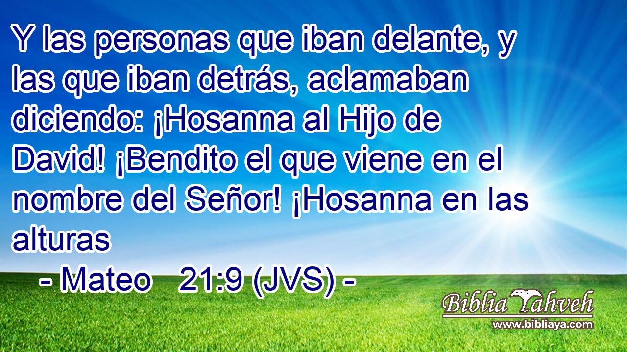 Y las personas que iban delante, y las que iban detrás, aclamaban diciendo: ¡Hosanna al Hijo de David! ¡Bendito el que viene en el nombre del Señor! ¡Hosanna en las alturas