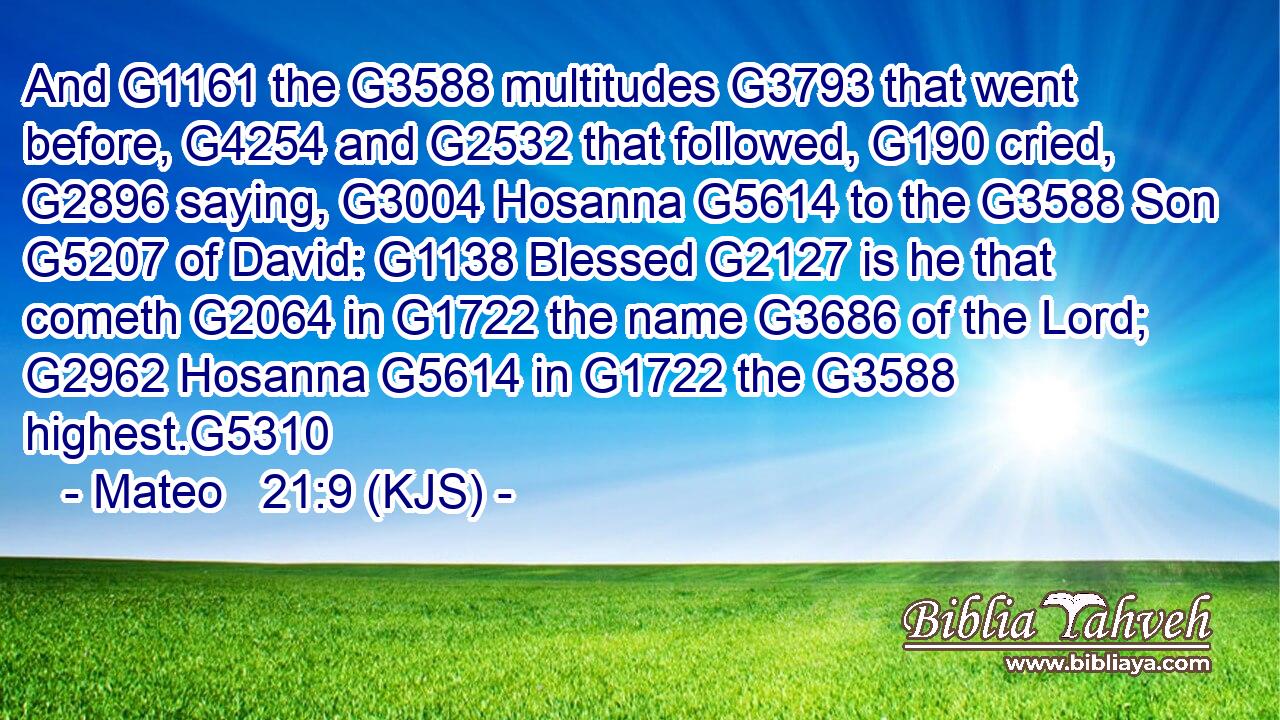 And G1161 the G3588 multitudes G3793 that went before, G4254 and G2532 that followed, G190 cried, G2896 saying, G3004 Hosanna G5614 to the G3588 Son G5207 of David: G1138 Blessed G2127 is he that cometh G2064 in G1722 the name G3686 of the Lord; G2962 Hosanna G5614 in G1722 the G3588 highest.G5310