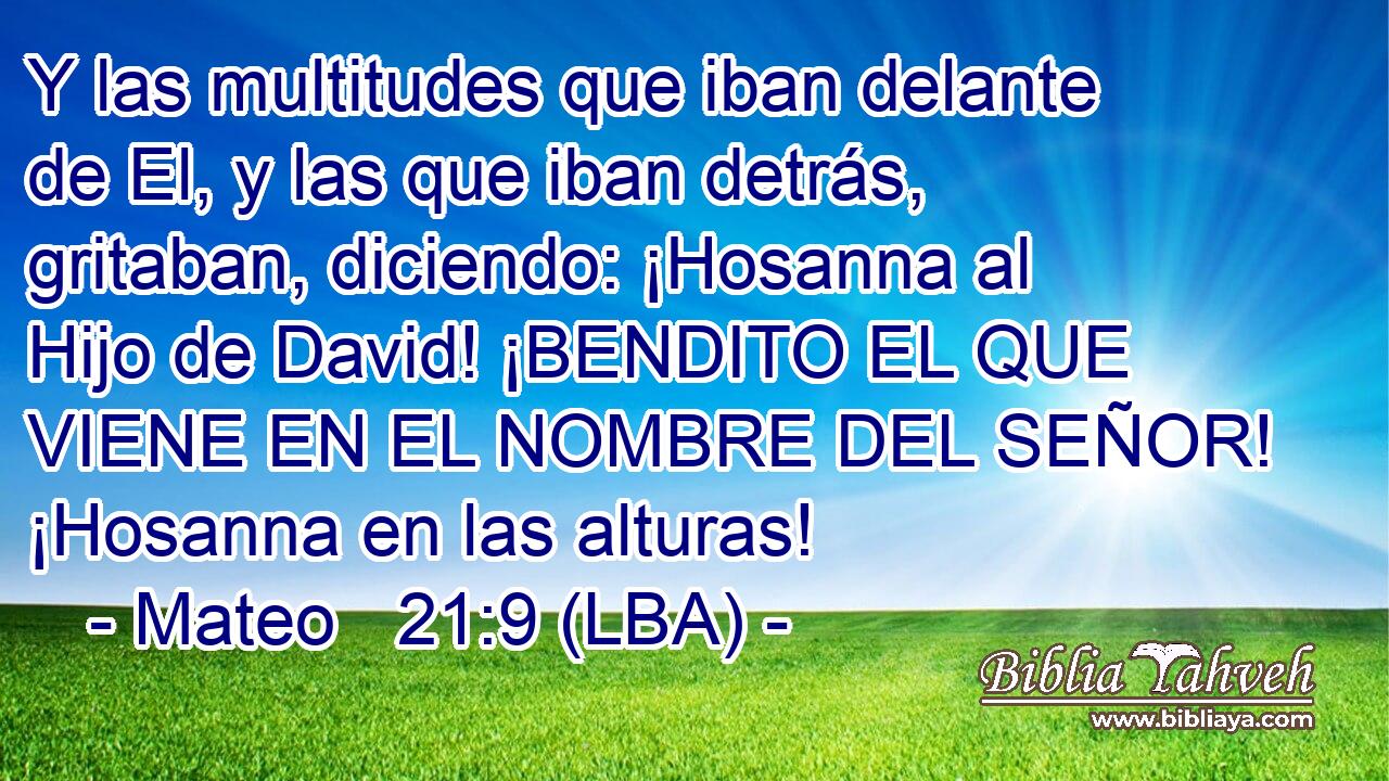 Y las multitudes que iban delante de El, y las que iban detrás, gritaban, diciendo: ¡Hosanna al Hijo de David! ¡BENDITO EL QUE VIENE EN EL NOMBRE DEL SEÑOR! ¡Hosanna en las alturas!