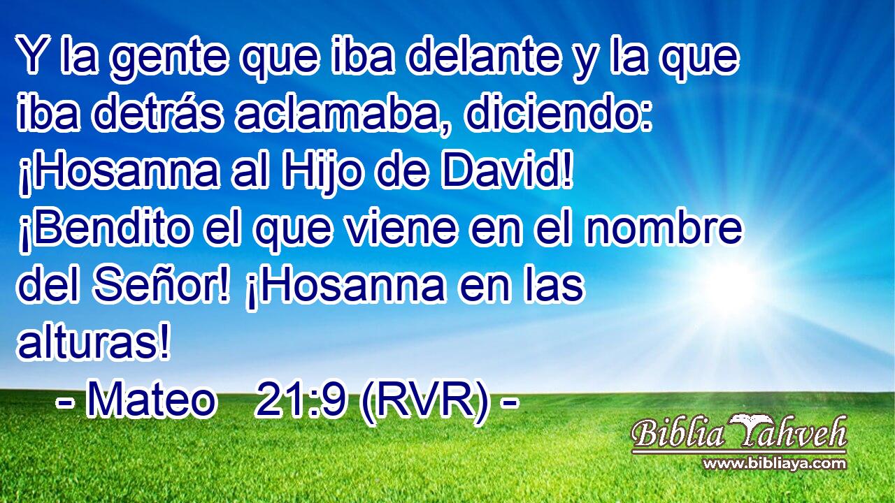 Y la gente que iba delante y la que iba detrás aclamaba, diciendo: ¡Hosanna al Hijo de David! ¡Bendito el que viene en el nombre del Señor! ¡Hosanna en las alturas!