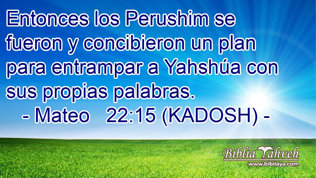  Entonces los Perushim se fueron y concibieron un plan para entrampar a Yahshúa con sus propias palabras. 