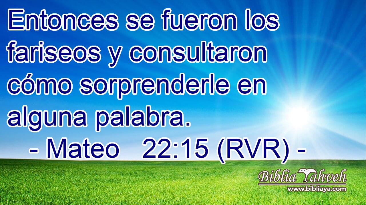 Entonces se fueron los fariseos y consultaron cómo sorprenderle en alguna palabra.