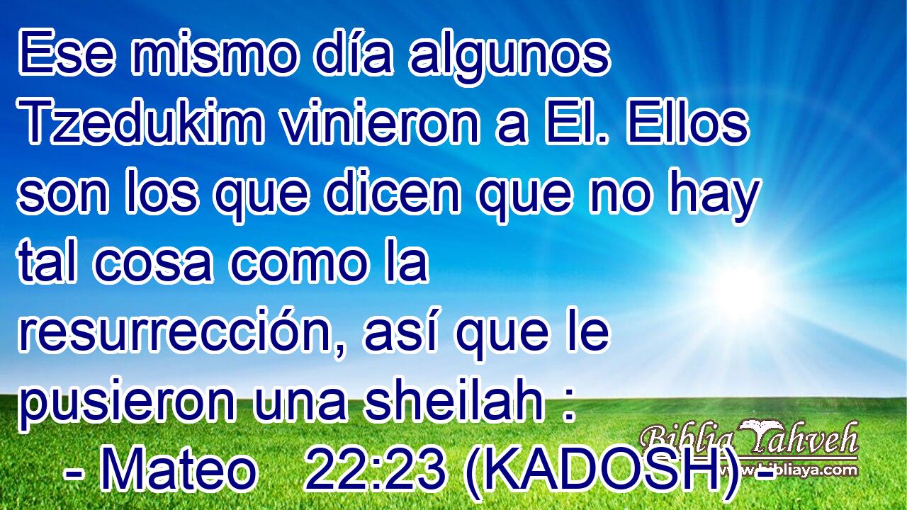  Ese mismo día algunos Tzedukim vinieron a El. Ellos son los que dicen que no hay tal cosa como la resurrección, así que le pusieron una sheilah : 