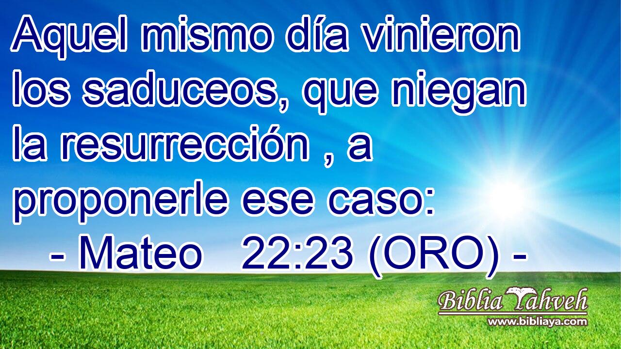  Aquel mismo día vinieron los saduceos, que niegan la resurrección , a proponerle ese caso: 