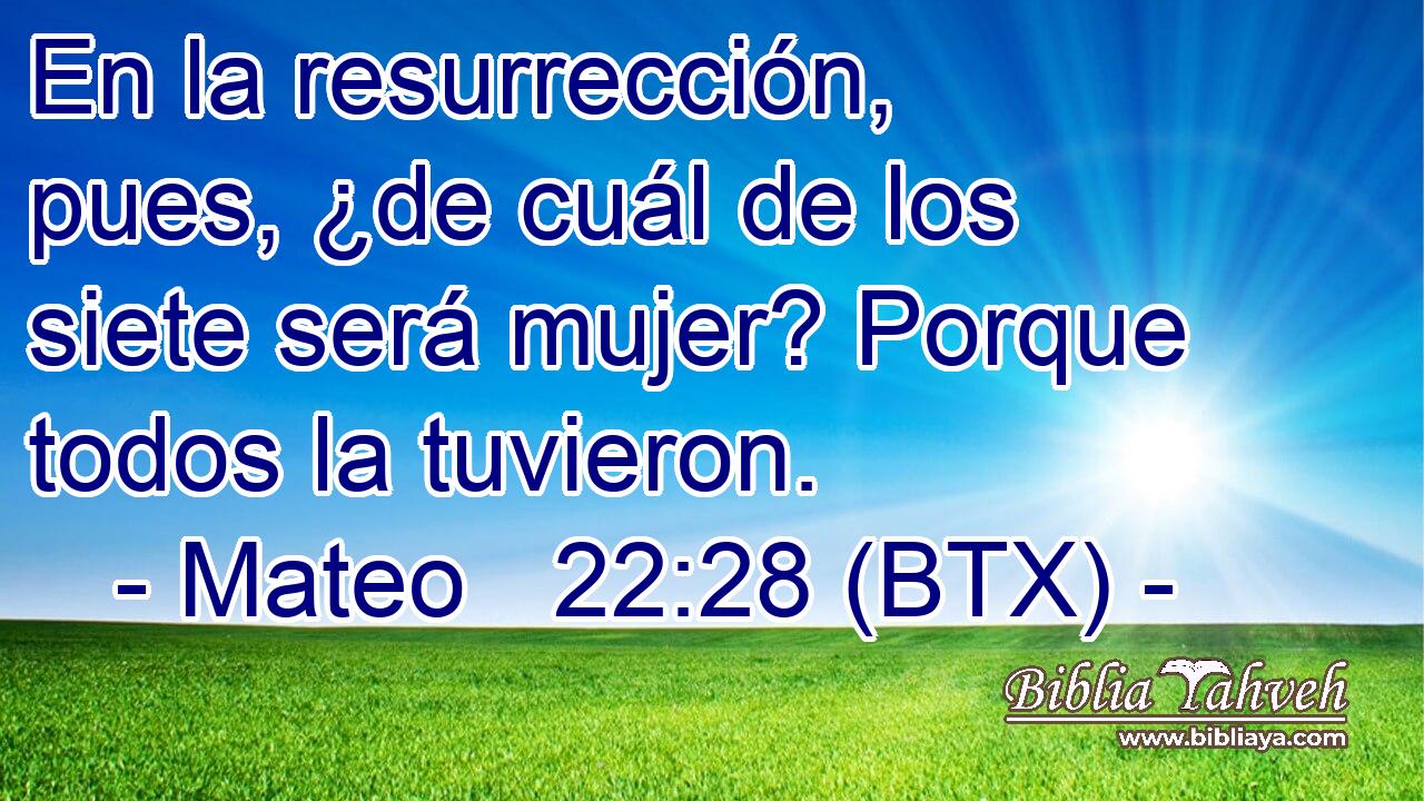 En la resurrección, pues, ¿de cuál de los siete será mujer? Porque todos la tuvieron.