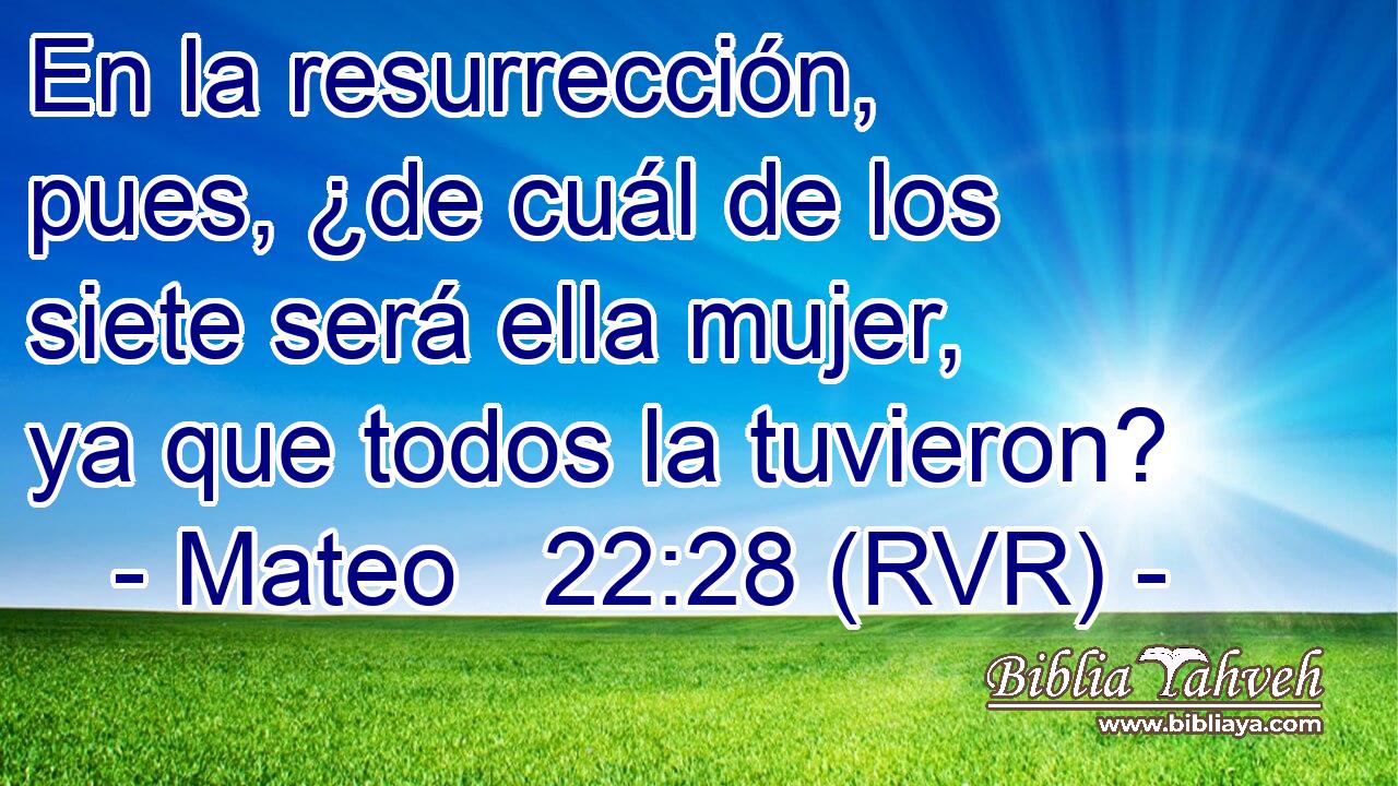 En la resurrección, pues, ¿de cuál de los siete será ella mujer, ya que todos la tuvieron?