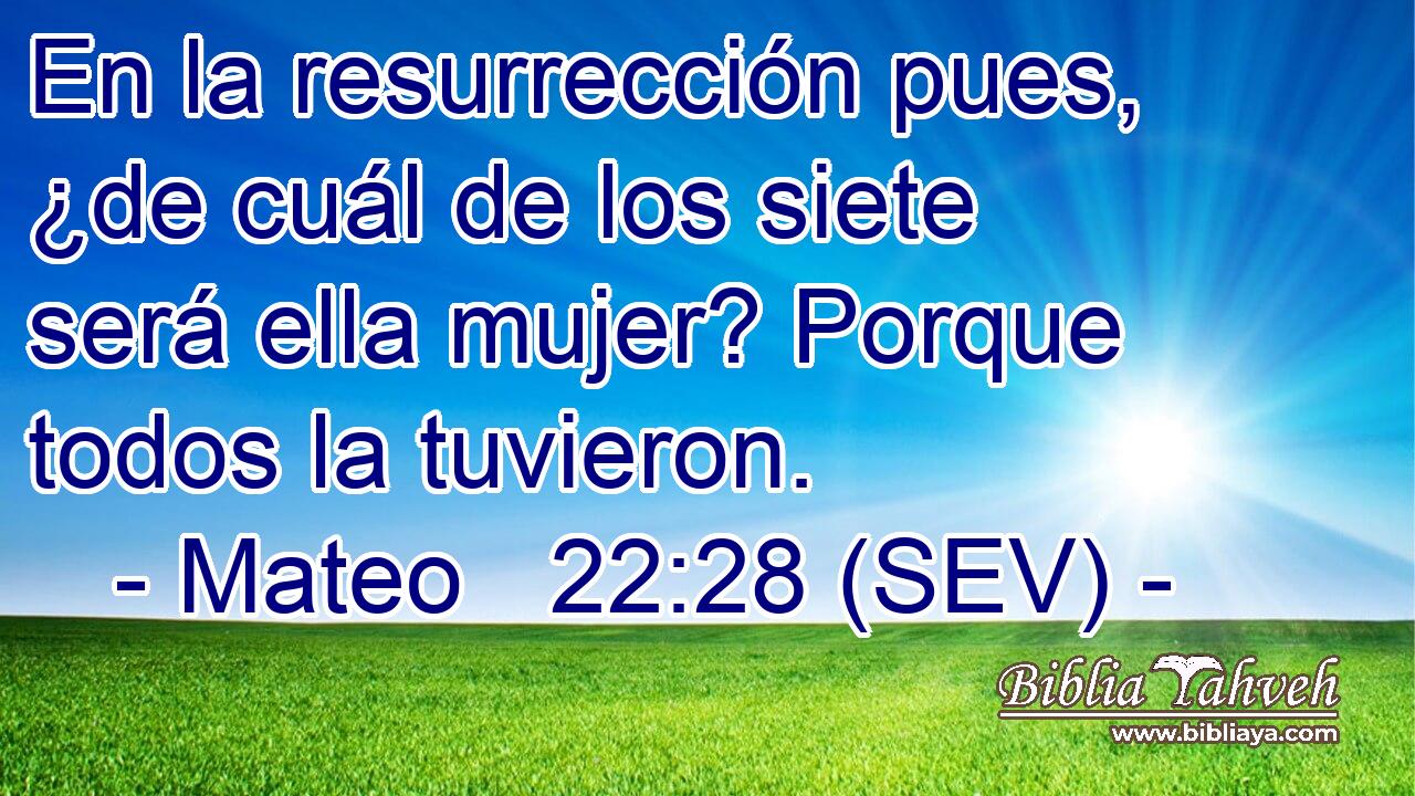 En la resurrección pues, ¿de cuál de los siete será ella mujer? Porque todos la tuvieron.