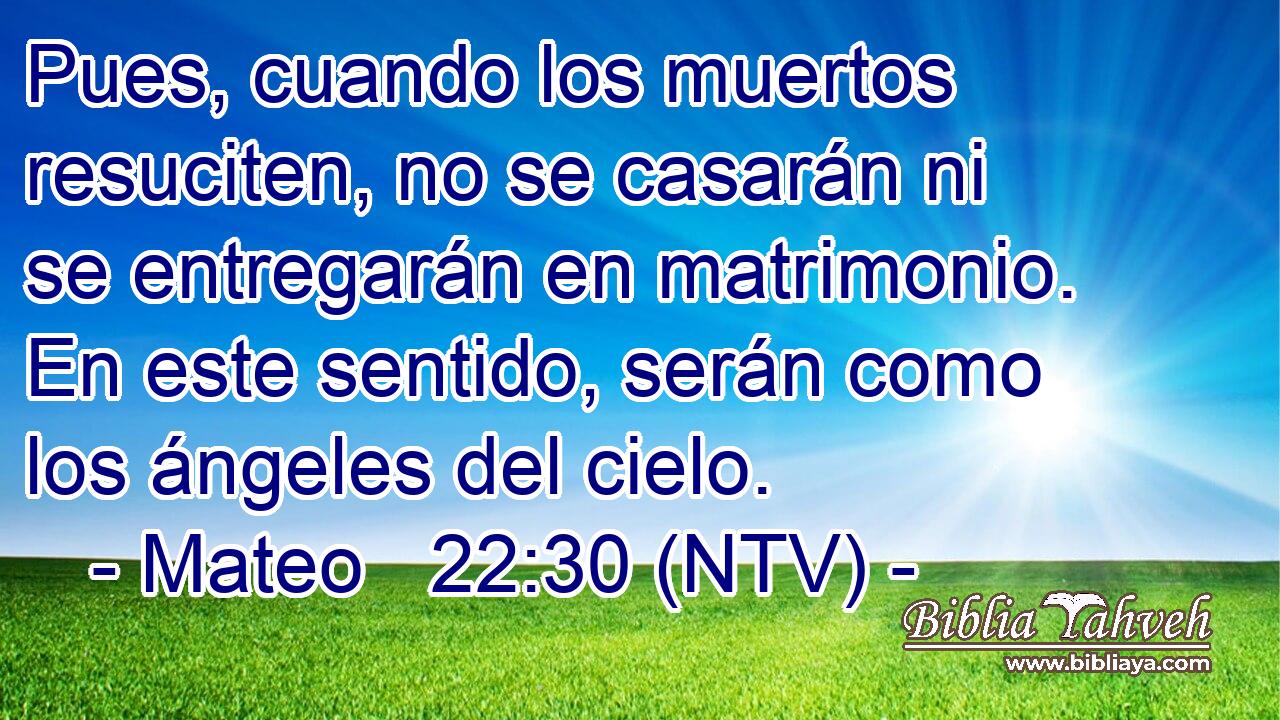 Pues, cuando los muertos resuciten, no se casarán ni se entregarán en matrimonio. En este sentido, serán como los ángeles del cielo.