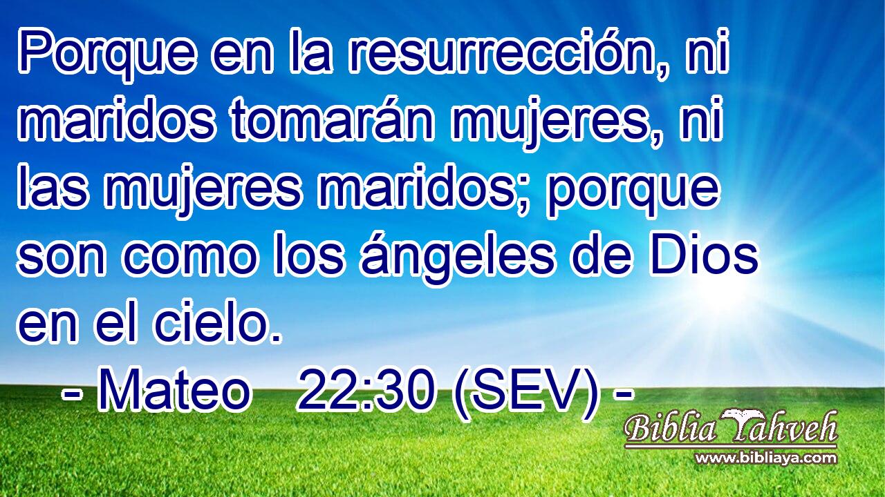 Porque en la resurrección, ni maridos tomarán mujeres, ni las mujeres maridos; porque son como los ángeles de Dios en el cielo.