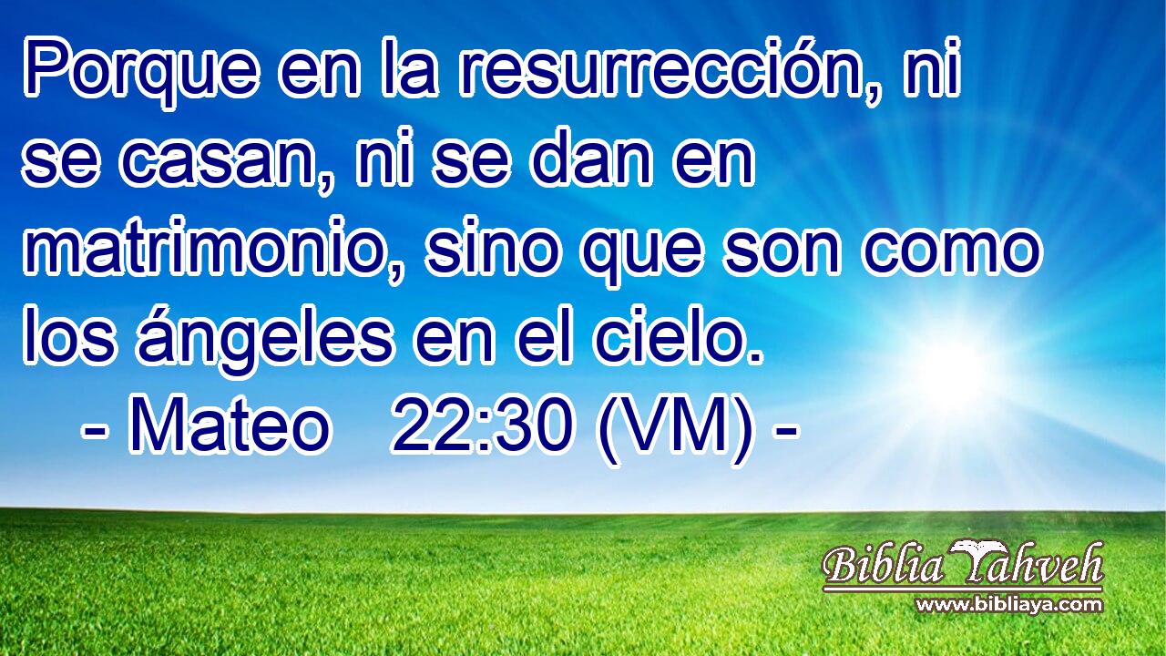  Porque en la resurrección, ni se casan, ni se dan en matrimonio, sino que son como los ángeles en el cielo. 