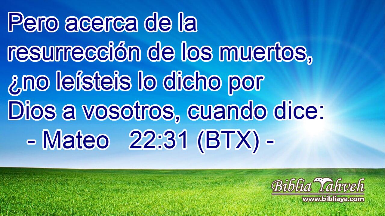 Pero acerca de la resurrección de los muertos, ¿no leísteis lo dicho por Dios a vosotros, cuando dice: