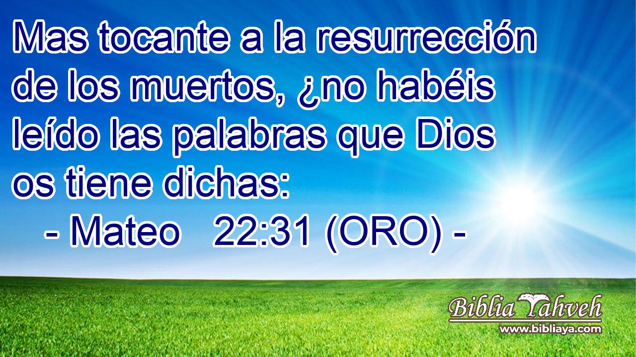  Mas tocante a la resurrección de los muertos, ¿no habéis leído las palabras que Dios os tiene dichas: 