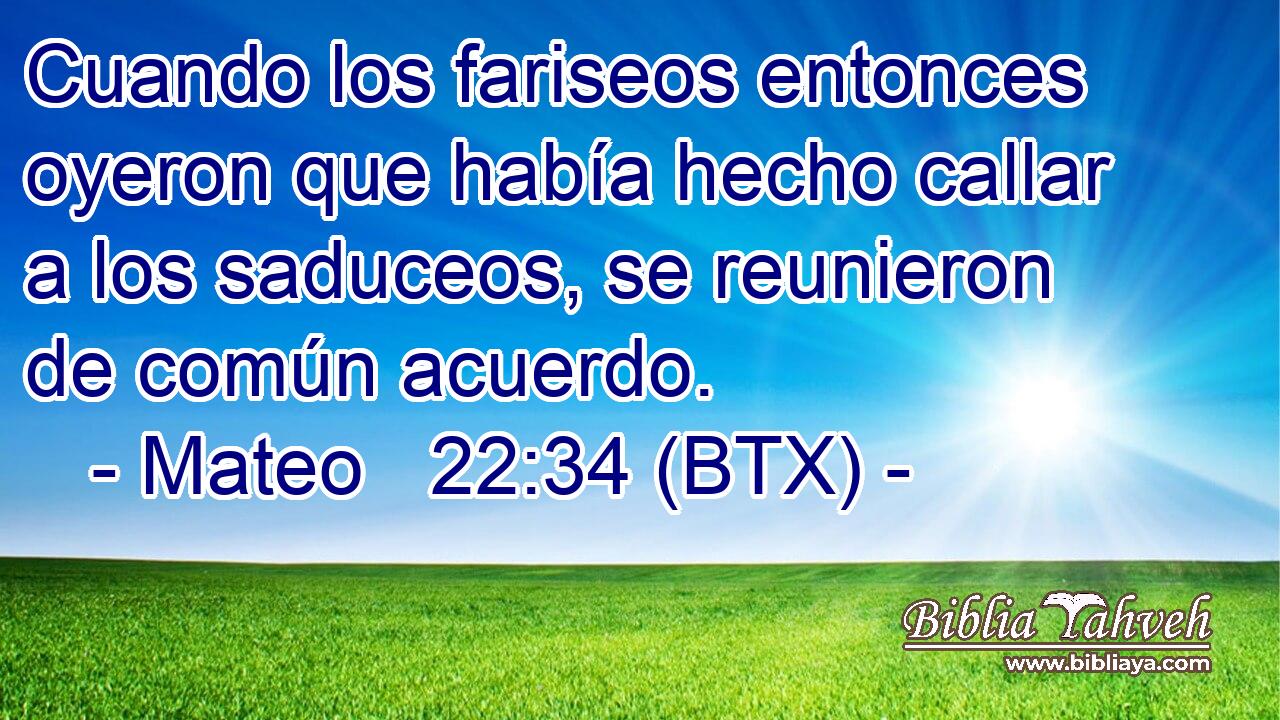 Cuando los fariseos entonces oyeron que había hecho callar a los saduceos, se reunieron de común acuerdo.