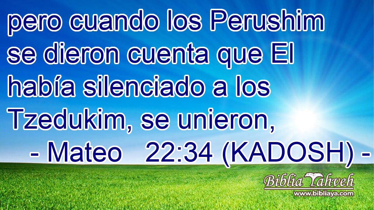  pero cuando los Perushim se dieron cuenta que El había silenciado a los Tzedukim, se unieron, 