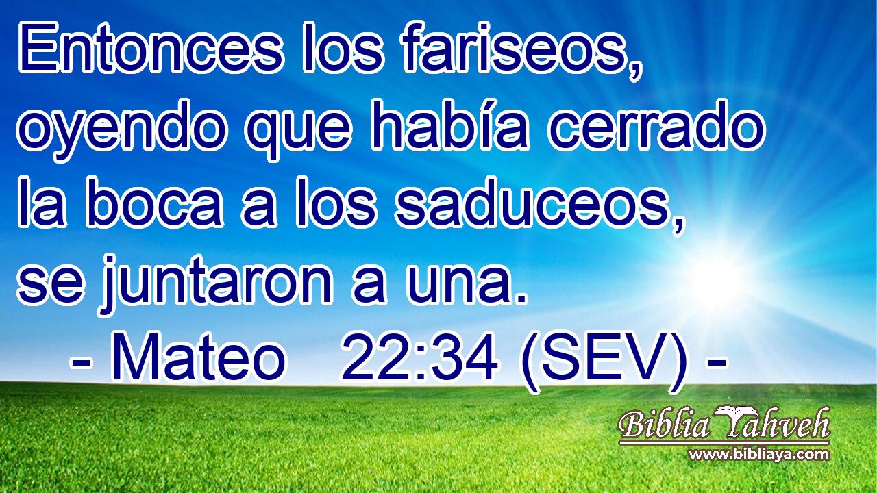 Entonces los fariseos, oyendo que había cerrado la boca a los saduceos, se juntaron a una.