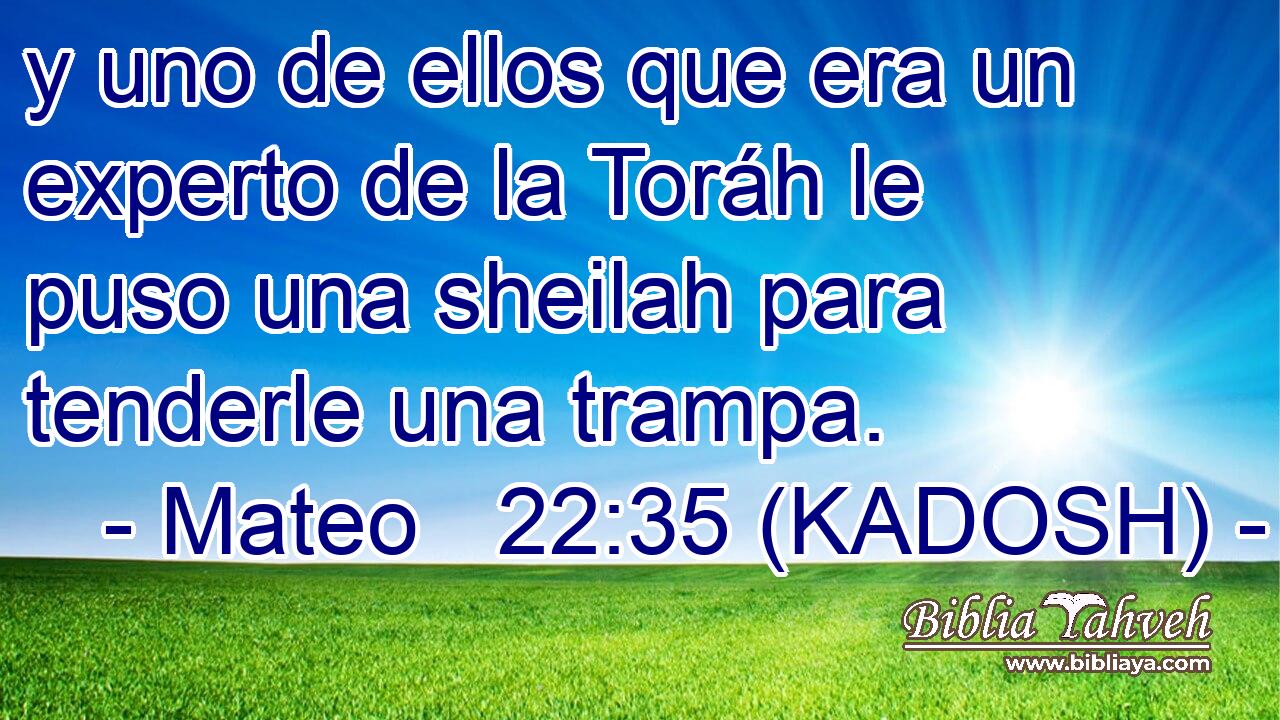  y uno de ellos que era un experto de la Toráh le puso una sheilah para tenderle una trampa. 