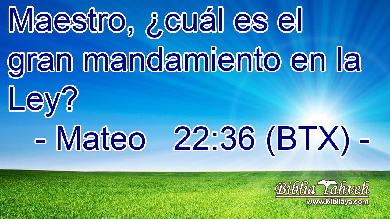 Maestro, ¿cuál es el gran mandamiento en la Ley?