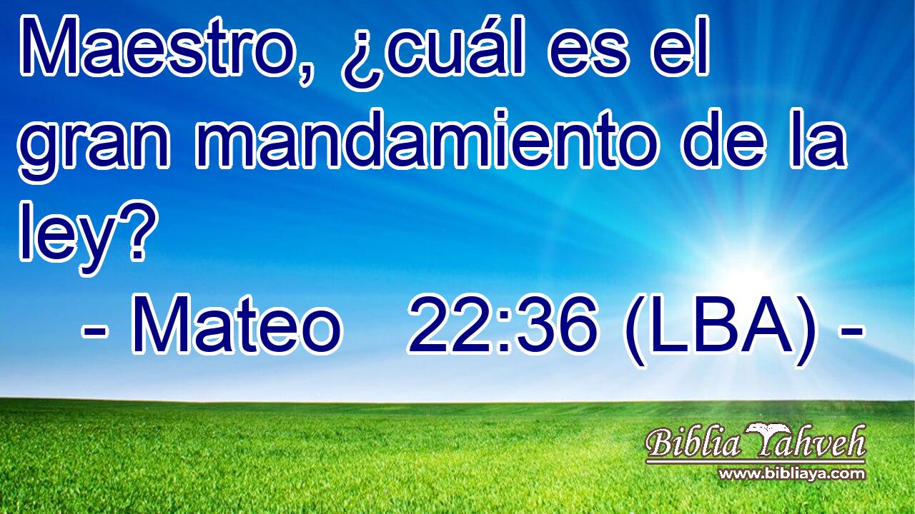 Maestro, ¿cuál es el gran mandamiento de la ley?