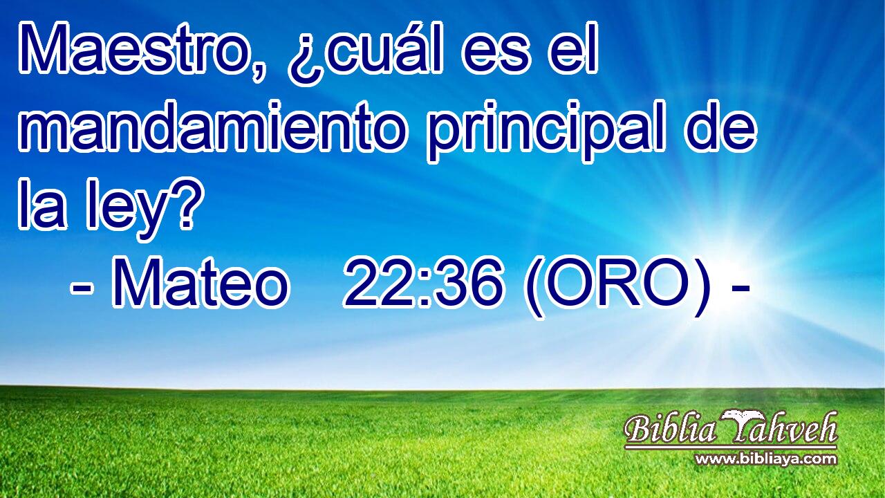  Maestro, ¿cuál es el mandamiento principal de la ley? 