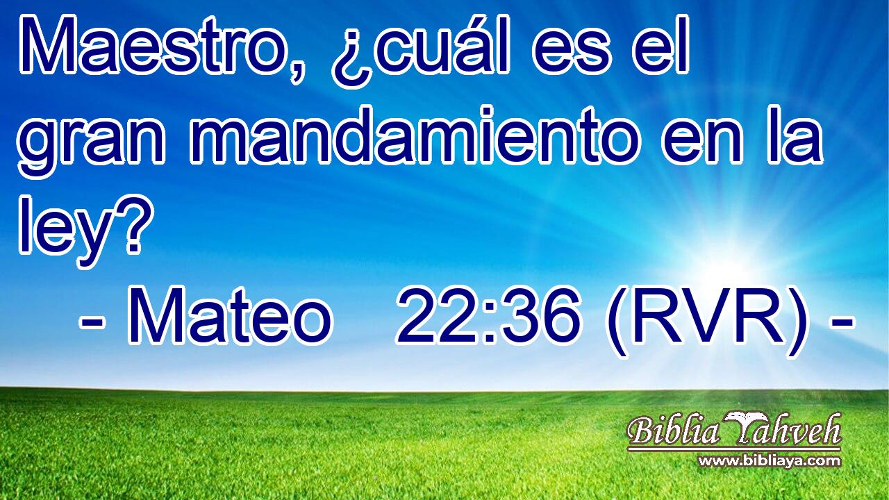 Maestro, ¿cuál es el gran mandamiento en la ley?