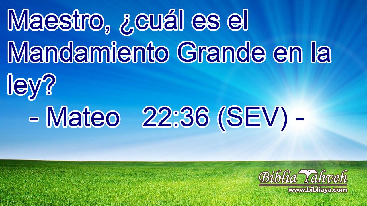 Maestro, ¿cuál es el Mandamiento Grande en la ley?
