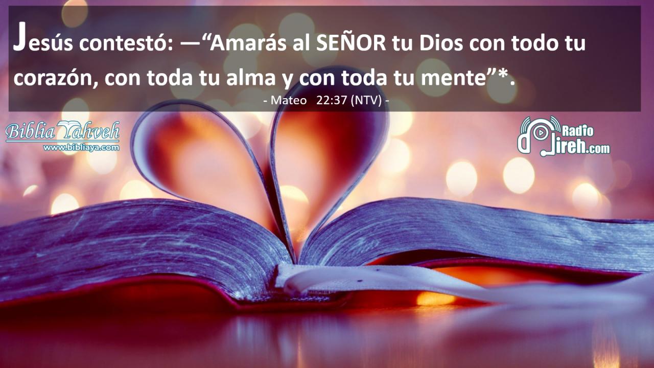 Jesús contestó: —“Amarás al SEÑOR tu Dios con todo tu corazón, con toda tu alma y con toda tu mente”*.