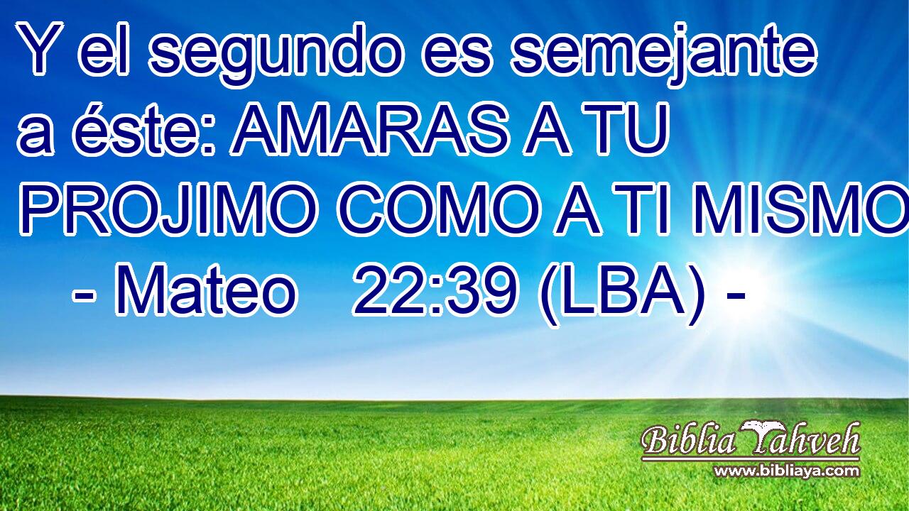 Y el segundo es semejante a éste: AMARAS A TU PROJIMO COMO A TI MISMO.