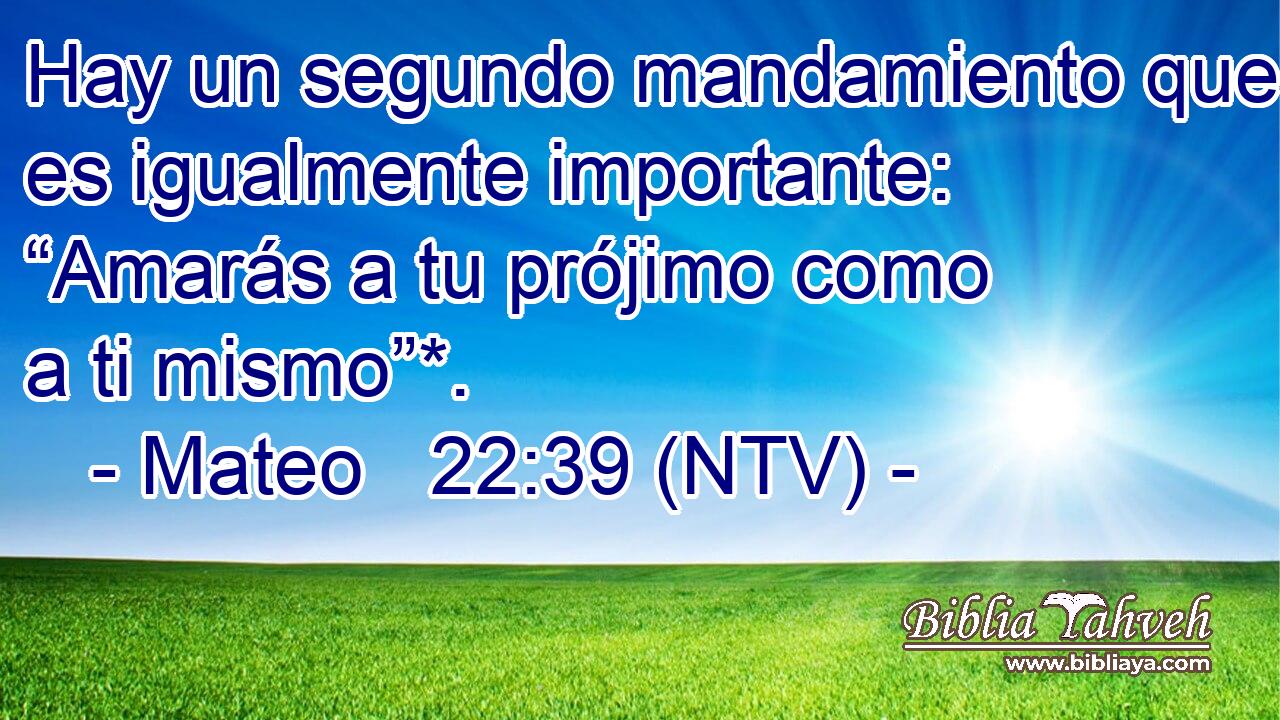 Hay un segundo mandamiento que es igualmente importante: “Amarás a tu prójimo como a ti mismo”*.