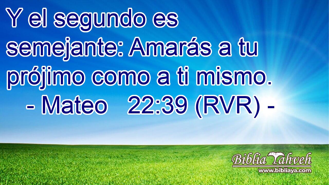 Y el segundo es semejante: Amarás a tu prójimo como a ti mismo.