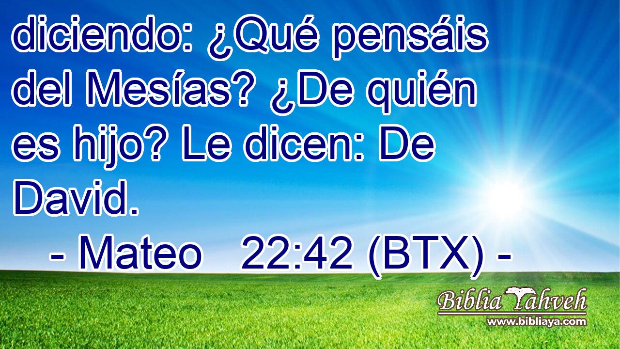 diciendo: ¿Qué pensáis del Mesías? ¿De quién es hijo? Le dicen: De David.