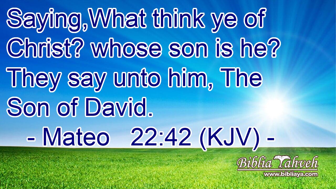 Saying,What think ye of Christ? whose son is he? They say unto him, The Son of David.